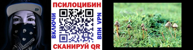 Купить  Похвистнево  Галлюциногенные грибы мицелий 